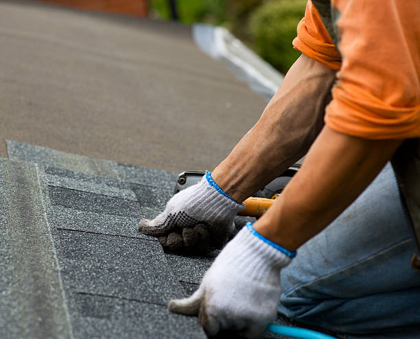 Best Roof Gutter Cleaning  in Bel Air South, MD